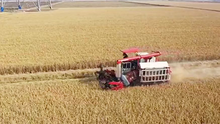 首页- 新宝GG集团创造事业平台