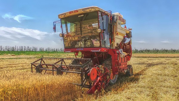 2a338235d54a4aa5bdd6ebe03df5e65e