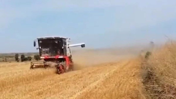 354c99a01abc4d19b6bce98bd63125f6