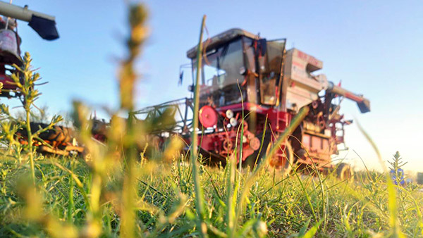 首页- 新宝GG集团创造事业平台