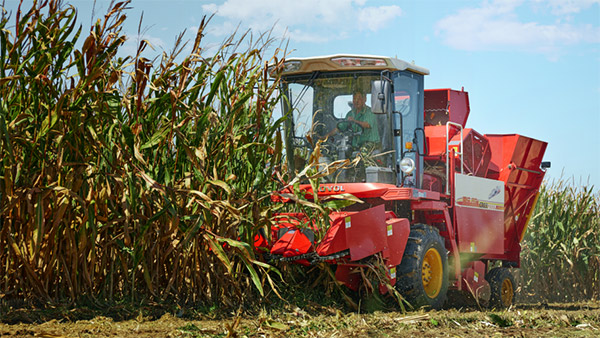 becdebe780d1436b935e7fde7e76d373