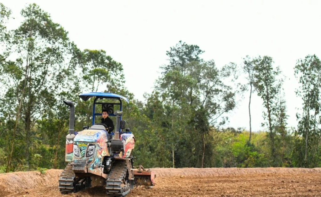 6900b7fc4249494a8e01e42659aa6802