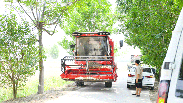 dc557ce5485f45709730fd2609dd08c0