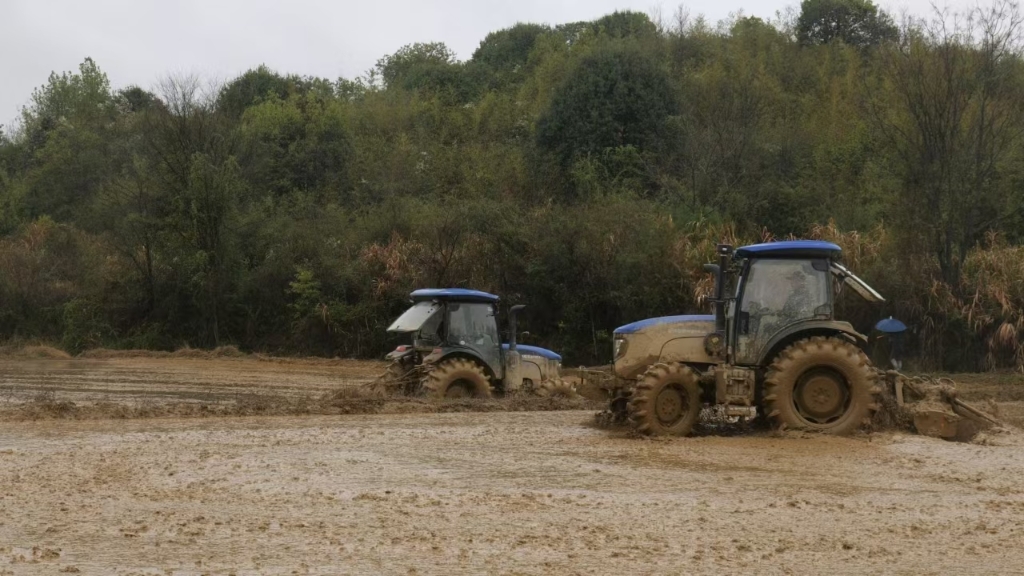 51456009dea04d6597ea7ebd969278cf